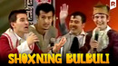 QVZ | Yangi yulduzlar jamoasi – Shoxning bulbuli (SHM)