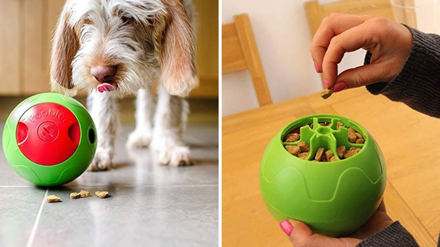 11 умных гаджетов для ваших домашних животных
