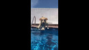 Funny Dog Jumps Into Pool #shorts