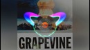 Tiesto GRAPEVINE Jasur ProJecT Remix