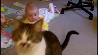 Кошка и малыш- любовь с пеленок