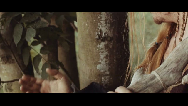 Equilibrium – Bloodwood (Official Music Video 2025)