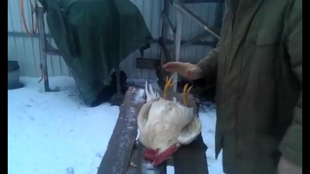 Полный Ржач!!) Петя умер