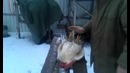Полный Ржач!!) Петя умер