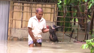 Северо-восток Индии тонет под проливными дождями