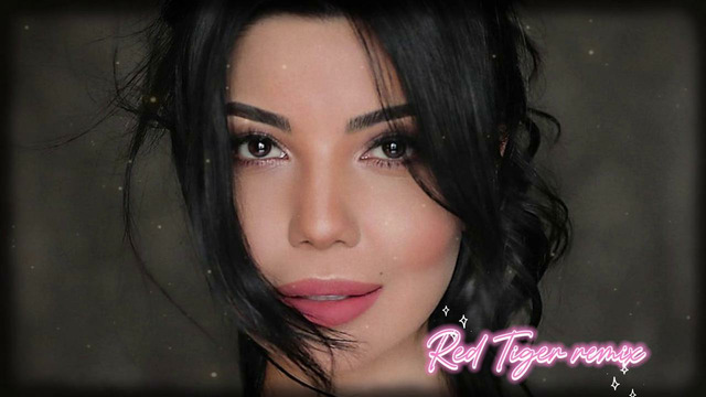 Shahzoda – Megamix 2025 ( One Hour ) by Red Tiger remixes