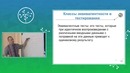 006. Тестирование. Тест-дизайн