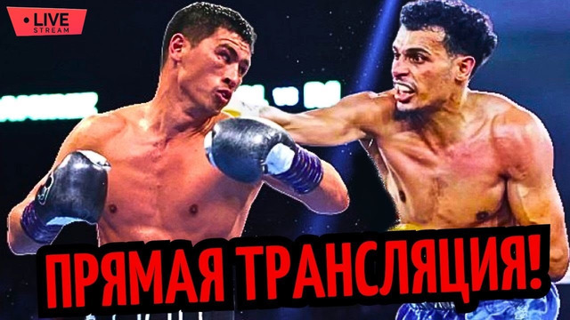 БОЙ Дмитрий Бивол vs. Малик Зинад/ Трансляция/ Где Смотреть? ПРОГНОЗ