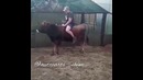 Домашнее родео