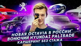 Стас Асафьев. Новая Skoda Octavia в России | Вонючий Hyundai Palisade | В каршеринг без стажа