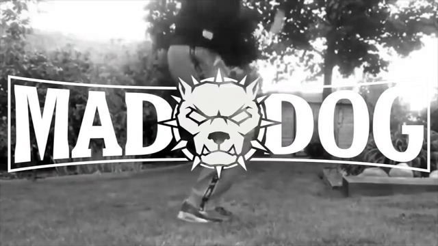 DJ Mad Dog – Reset
