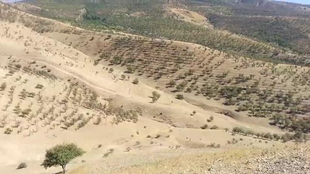 XC One (маршрут)