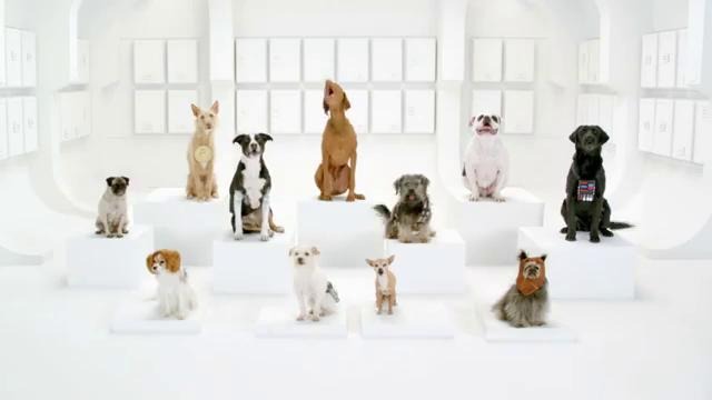 The Bark Side – 2012 Volkswagen Game Day Commercial Tease