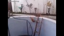 Спасение кошки из бассейна