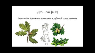 «Деревья». Мнемотехника, учим английские слова