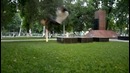 Tricking / Grass training #inspiritSports