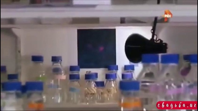 Внеземное происхождение мужчин. Гости с Нибиру