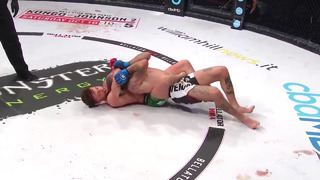 Best of 2020 Top Submissions Bellator MMA
