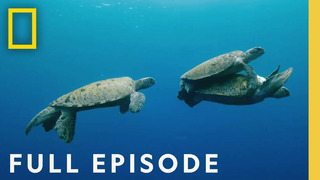 Oceans (Full Episode) | Hostile Planet
