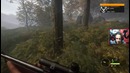 TheHunter – Call of the Wild | Первый взгляд