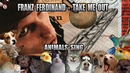Franz Ferdinand – Take Me Out (Animal Cover)