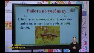 Русский язык 3 класс РУС (62)