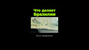 Что делает Бразилия? #shorts