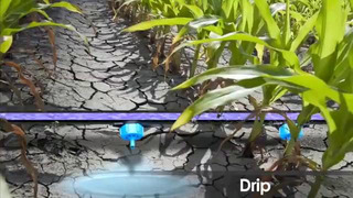 What Is Irrigation amrCMakolKA