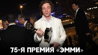 Главные награды телевизионной премии «Эмми» взяли «Наследники», «Медведь» и «Грызня»