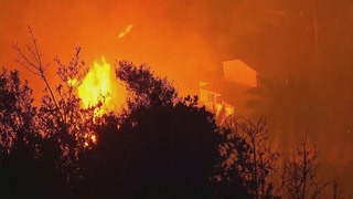 Сильные лесные пожары в туристическом регионе Чили