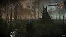 Witcher 3 геймплей