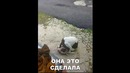 Лютые приколы. кАка-кола