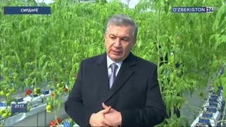 Shavkat Mirziyoyev Sirdaryo viloyatiga tashrif buyurdi (19.02.2019)