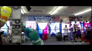 Boxing Training in Excellence HD