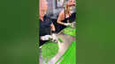 Duo Speedily Chops Candy | People Are Awesome