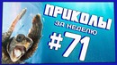 Приколы за неделю #71 | ПОТРАЧЕНО