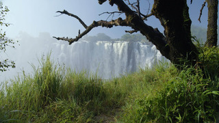 Zambia Africa in 8K