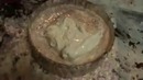 Как приготовить мороженое