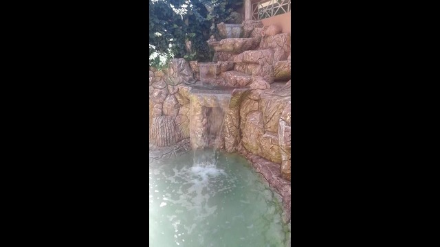 Video 2018-08-10 10-01-42