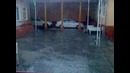 Sel qoqon 06.05.2012
