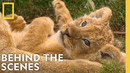 Going Behind the Scenes of LION | National Geographic