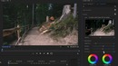 Основы цветокоррекции в lumetri (premiere pro)