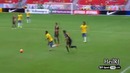 Neymar Jr ● Amazing Skills Show ● 2013-2014