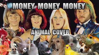 ABBA – Money Money Money (Animal Cover)