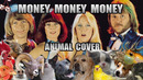ABBA – Money Money Money (Animal Cover)