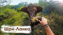 Шри-ланка [GoPro 8]