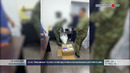 25 kg “pregabalin” kuchli ta’sir qiluvchi moddasi rasmiylashtirib olindi