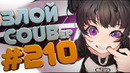 Злой best coub forever #210
