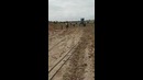 T video5413545005157450625 (1)