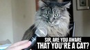 21 Photos Guaranteed To Make You Smile